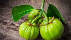 Does Garcinia Cambogia Work to Help You Lose Weight and Burn Fat?